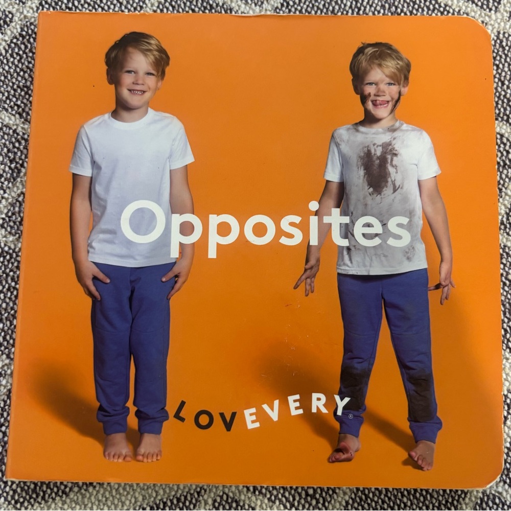 Lovevery Opposites Book